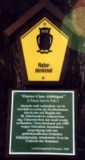 Tafel Naturdenkmal, wurde leider bereits gestohlen