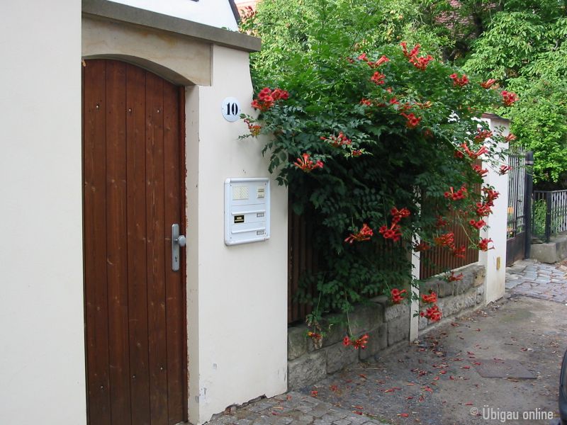 2003 07 04 altmickten elbe 2003 07 04 altmickten elbe