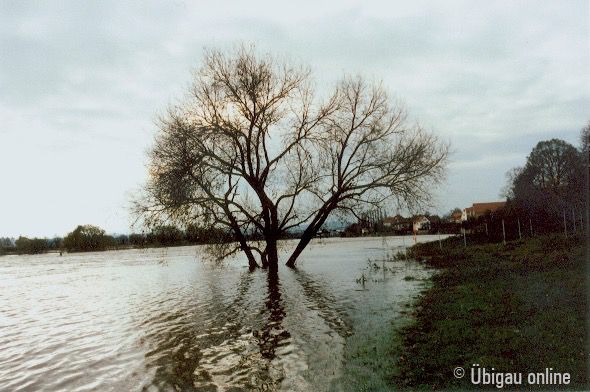 1998 11 elbehochwasser elbufer 1998 11 elbehochwasser elbufer