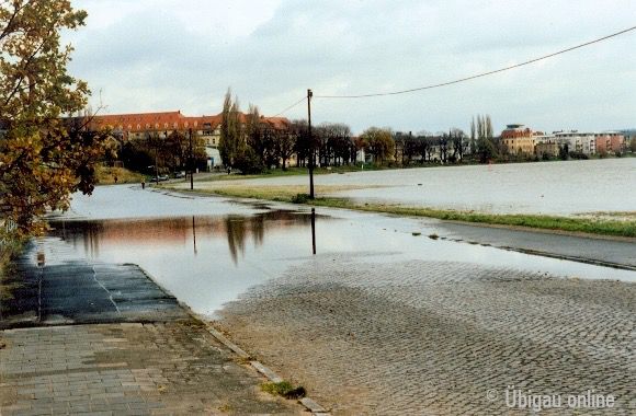 1998 11 elbehochwasser boecklinstr4 1998 11 elbehochwasser boecklinstr4