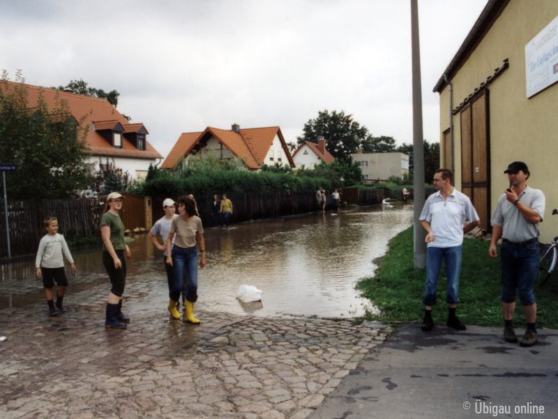 2002 08 scharfenberger 2002 08 scharfenberger