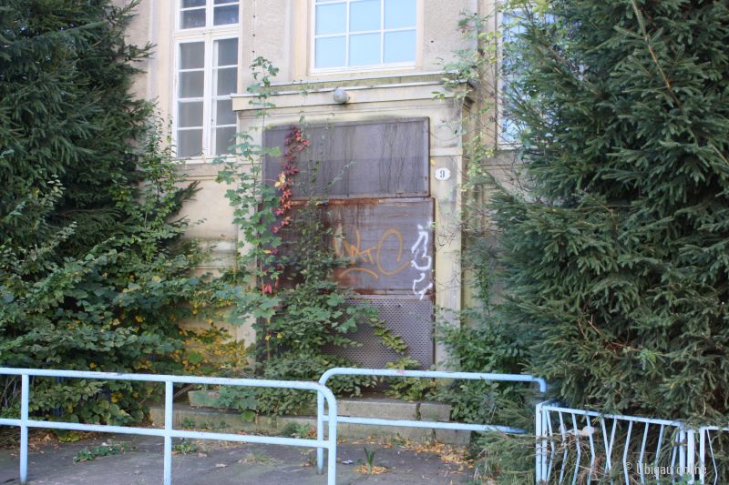 20101009 0012 20101009 0012