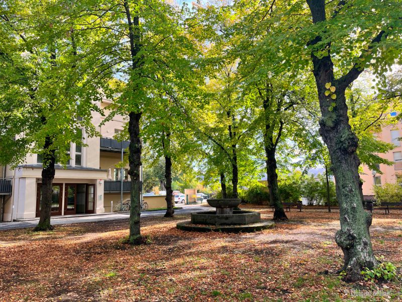 2023 10 mengser 2023 10 mengser