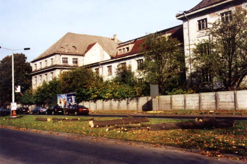 Die alten Bäume mussten weichen ... (Foto: F. Philipp)