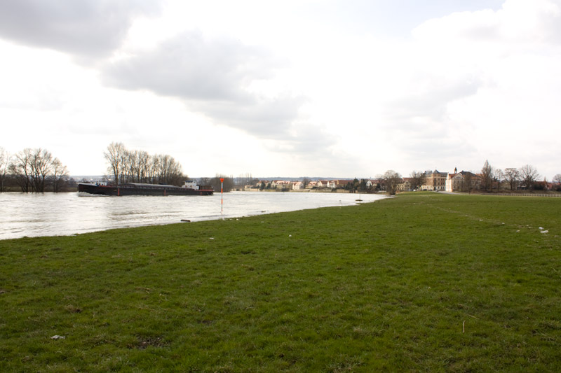 Elbwiesen im März 2009 bei Hochwasser (Foto: F. Philipp)
