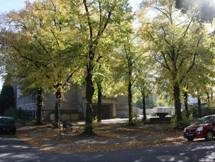 Mengsplatz (Foto: F. Philipp, 2010)