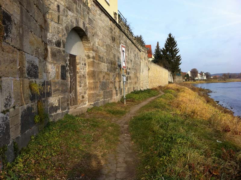 Elbufer wurde freigeschnitten