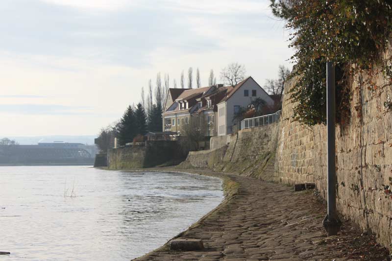 Blick von Altmickten Richtung Altübigau