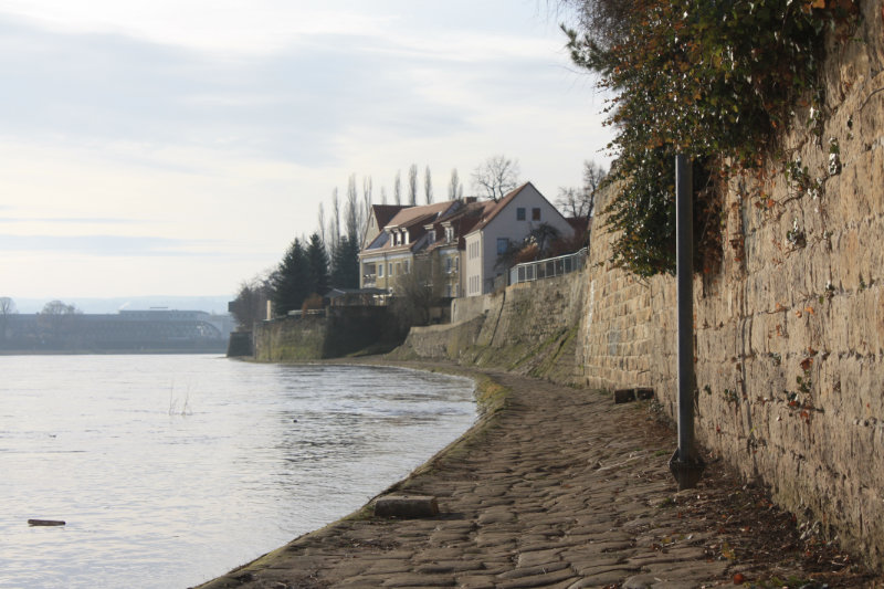 Hochwasser 29.12.2012 bei Altübigau