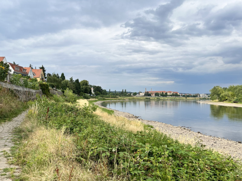 Elbpegel 54cm, Elbe Höhe Altübigau (Foto: F. Philipp)