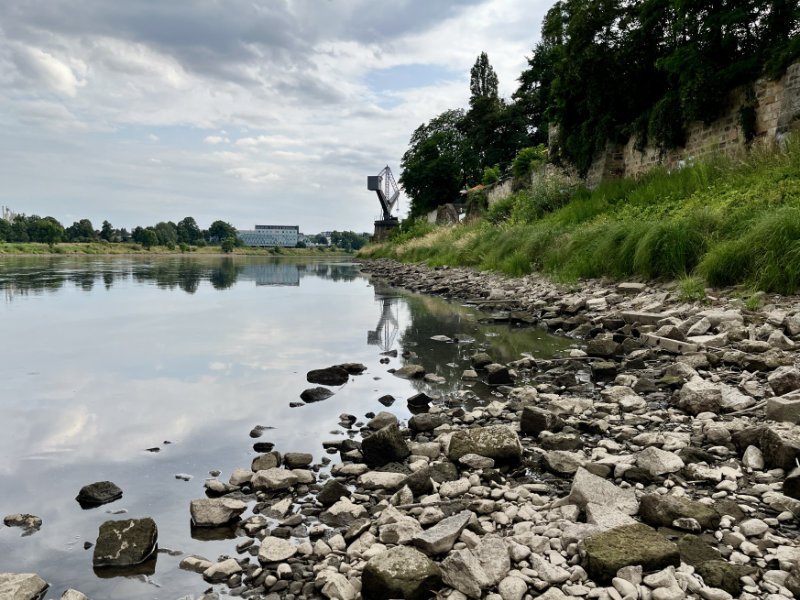 Elbepegel 54cm, unterhalb des Schlosses Übigau (Foto: F. Philipp)