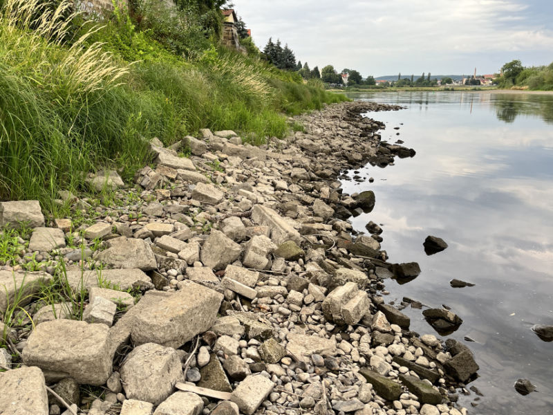 Elbpegel 54cm, Steine im Uferbereich unterhalb des Schlosses Übigau (Foto: F. Philipp)