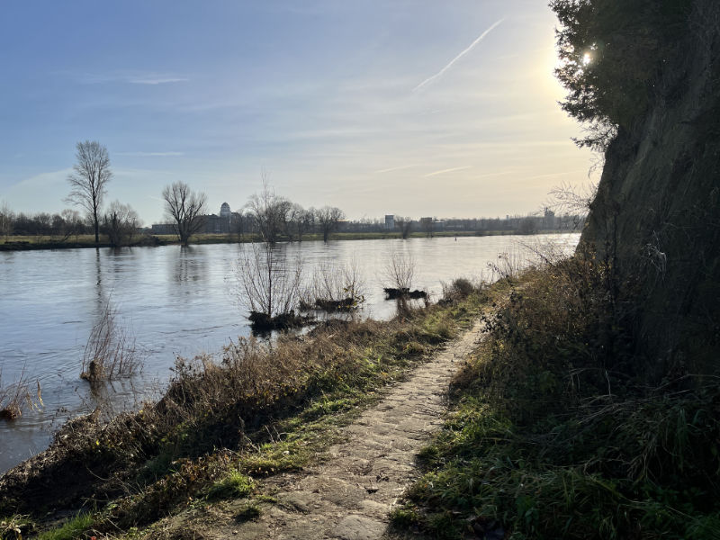 Uferweg bei Altübigau (Foto: F. Philipp, 17.12.23)