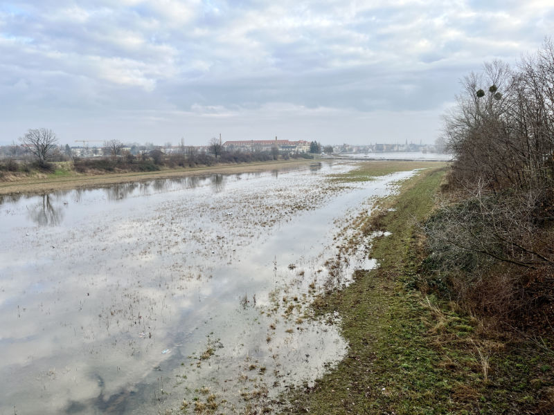 Flutrinne teilweise gefüllt (Foto: F. Philipp)