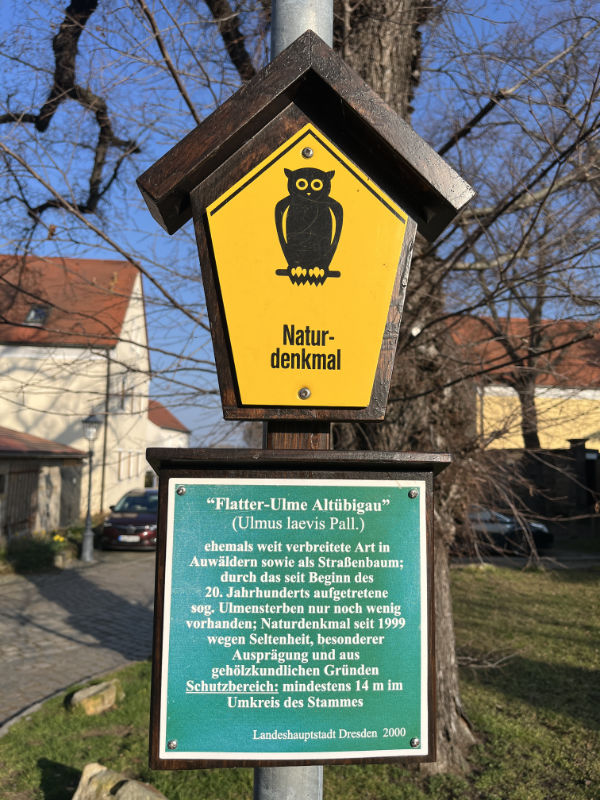 Schild zum Naturdenkmal (Foto: F. Philipp)