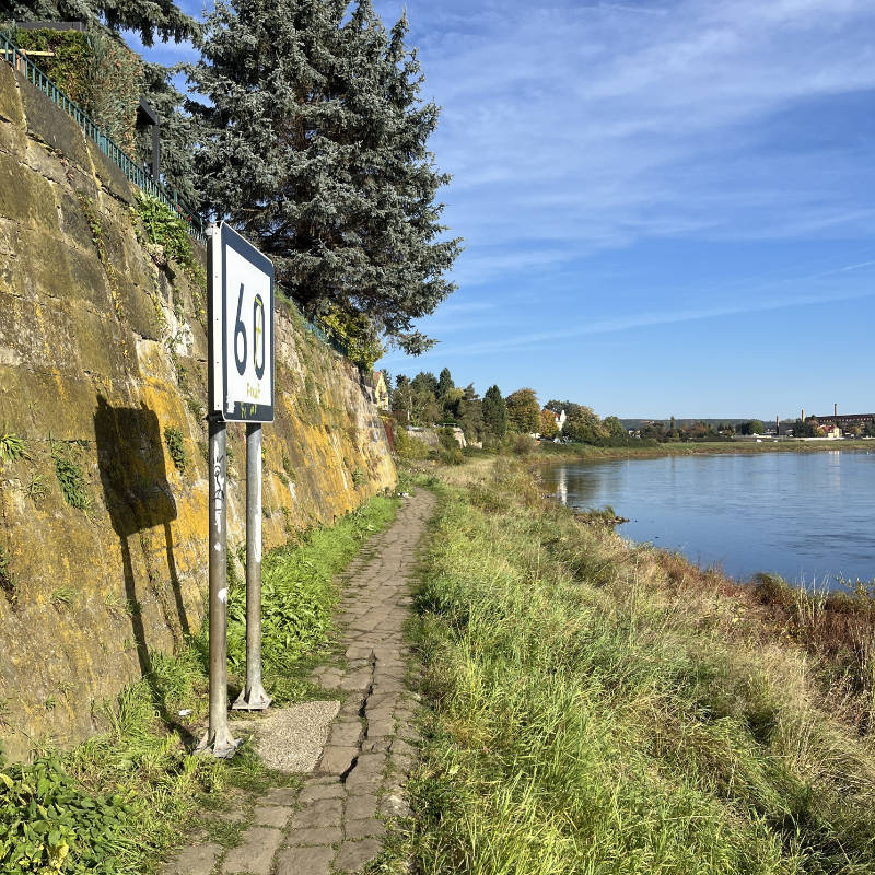 Elbe-km 60 in Übigau (Foto: F. Philipp)