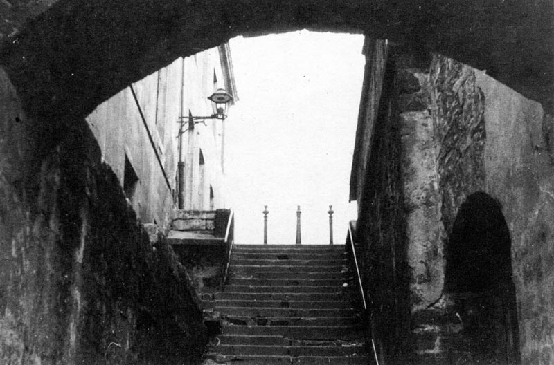 Treppe Zinggstraße von der Elbe gesehen