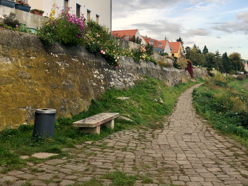 Mülleimer Altübigau (Foto: F. Philipp)