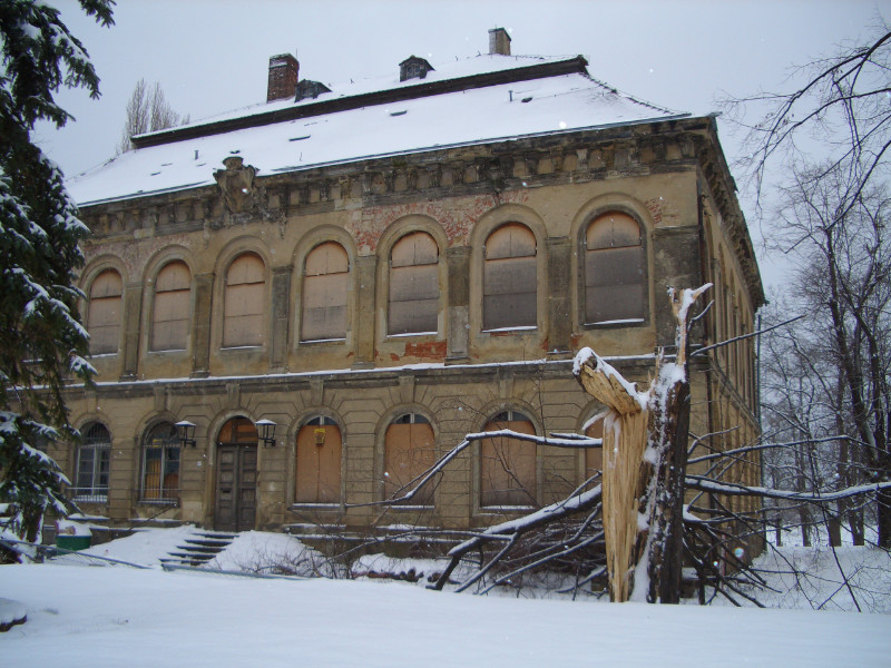Sturmschaden durch Kyrill (Foto: F. Philipp)